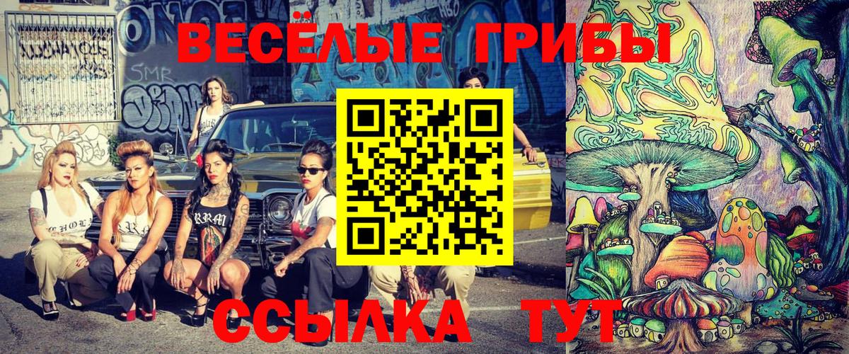 где купить наркоту  Вход с VPN  Отрадное  Псилоцибиновые грибы мицелий 