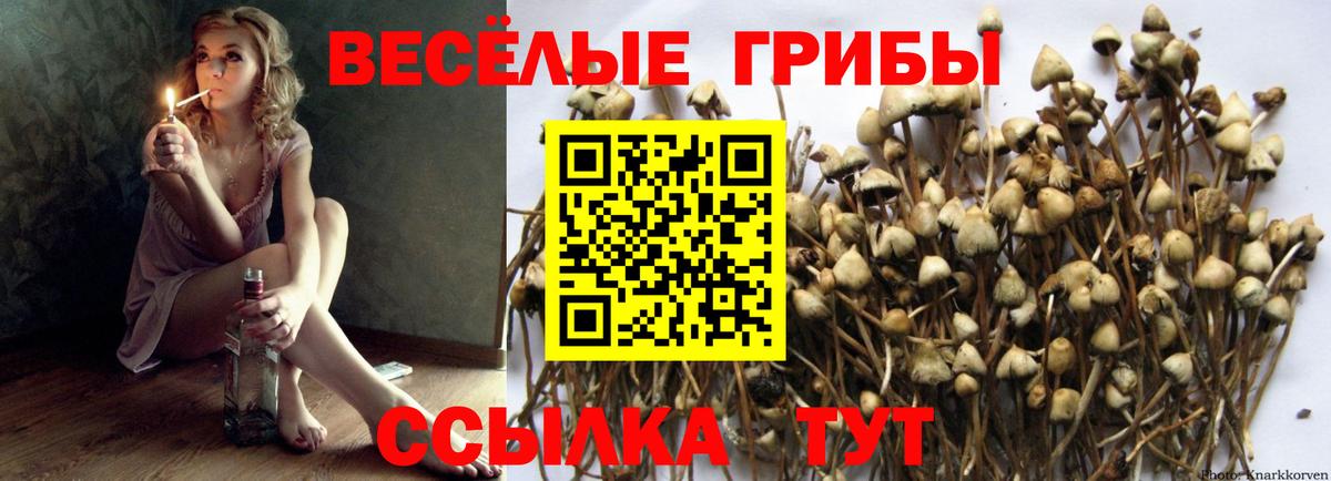 Галлюциногенные грибы Cubensis Отрадное